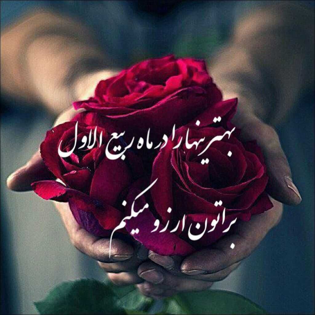 محمد فصولی دست خدا روی زمین حیدر امیرالمومنین